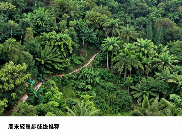 路线特征与自然环境体验