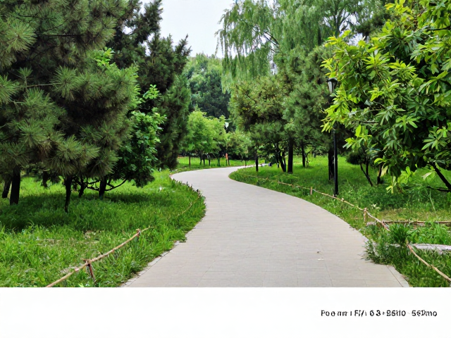 北京公园徒步，6-8岁亲子动植物观察平缓路线推荐