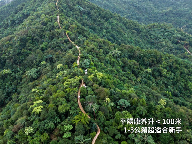 康养效益与身心体验