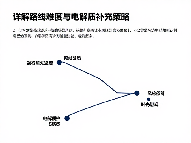 电解质流失对认知与判断的影响