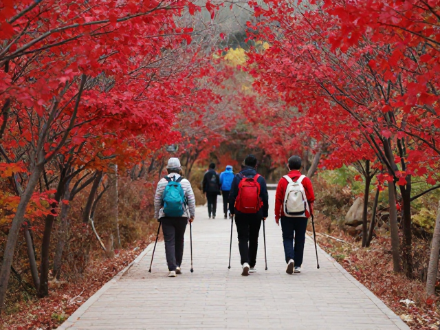北京西山国家森林公园：平缓步道与红叶胜景