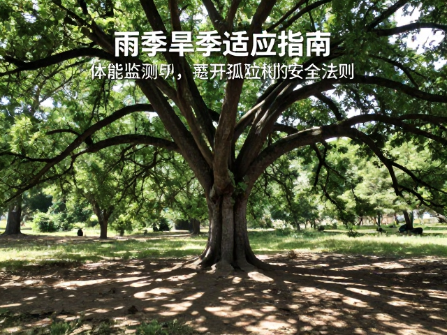 树冠投影范围与跨步电压规避法则