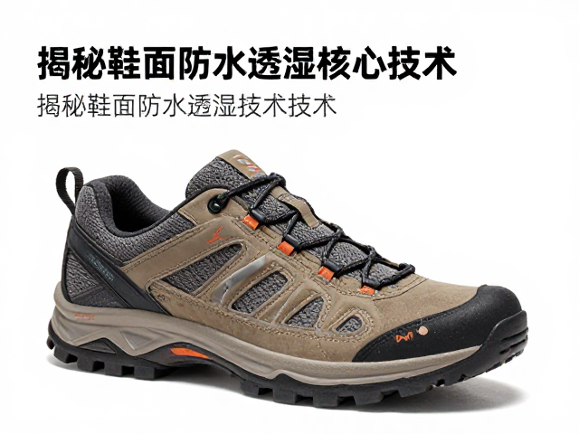 低帮结构对足部生物力学的影响