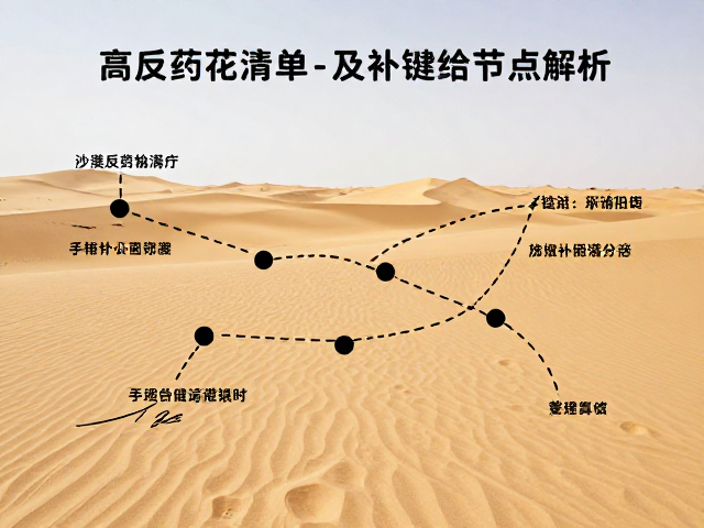 沙漠戈壁穿越攻略，高反药物清单与关键补给节点解析