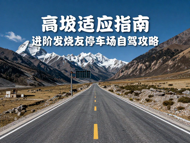 驾驶技术与路况应对