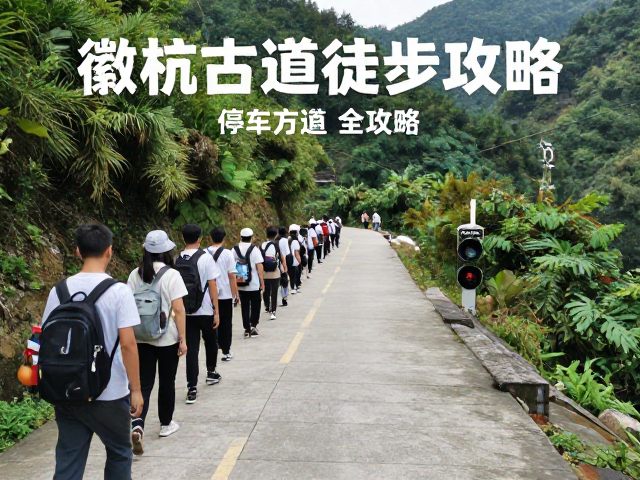 安全须知与最佳时段