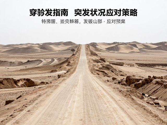 体能分配与突发状况应对预案