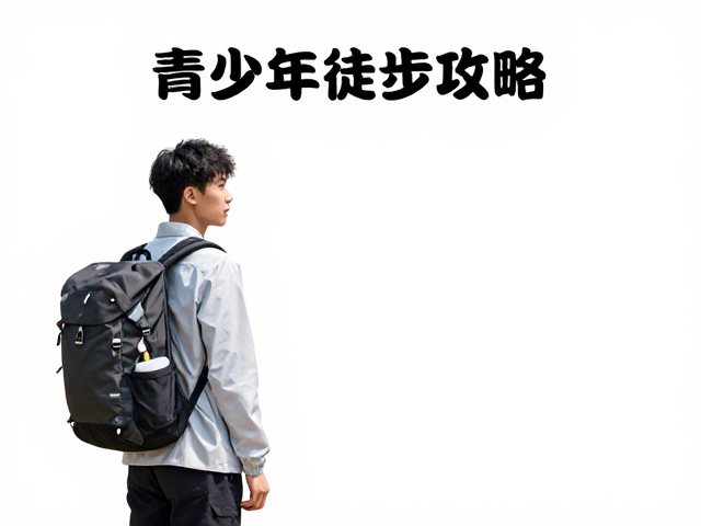 交通指南:轻松抵达打卡地