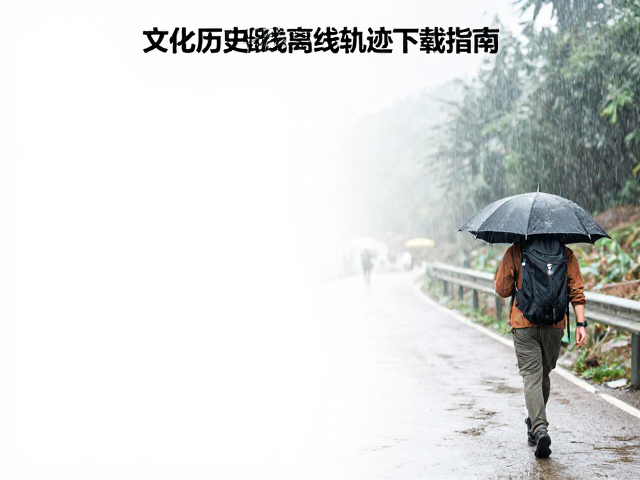 行进中的风险规避与应急处理