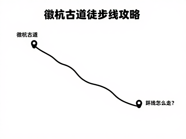 后勤补给与交通接驳实用信息