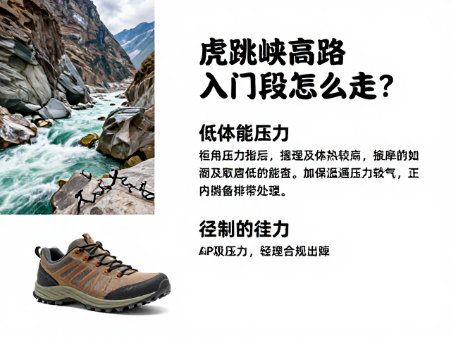 行前准备与应急处理预案