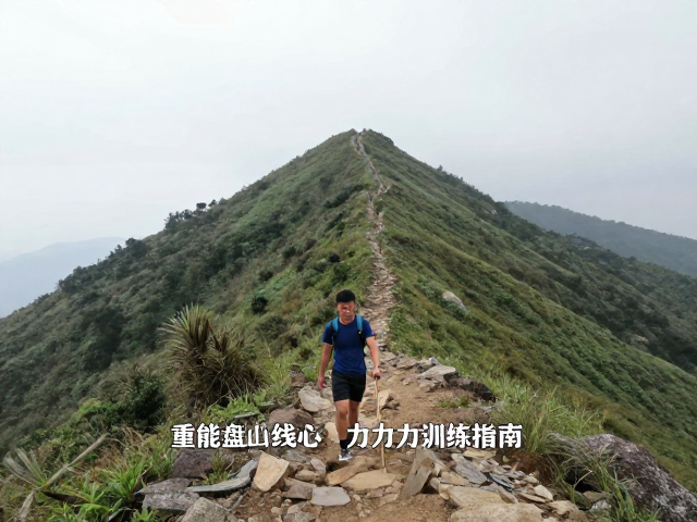 恢复管理与长期力量维持策略