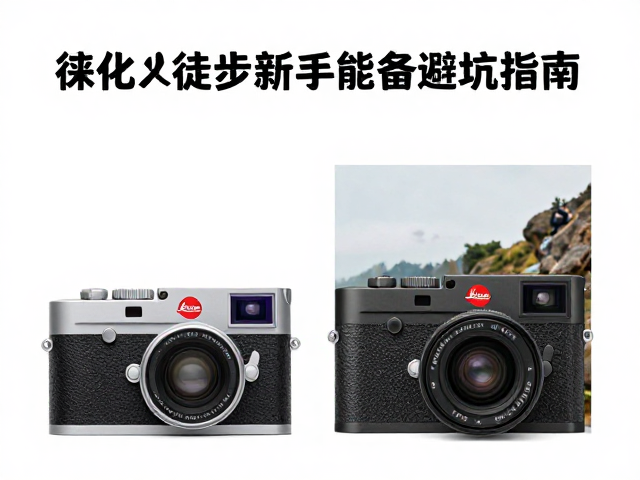 徕卡M系列与Q系列在户外场景的实际表现