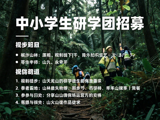 报名信息与参与须知
