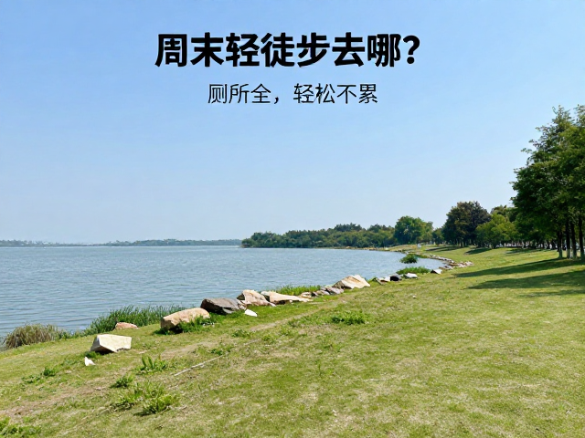实用贴士与安全注意事项