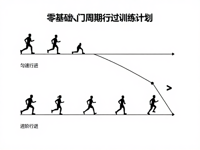 科学规划周期与进阶路径