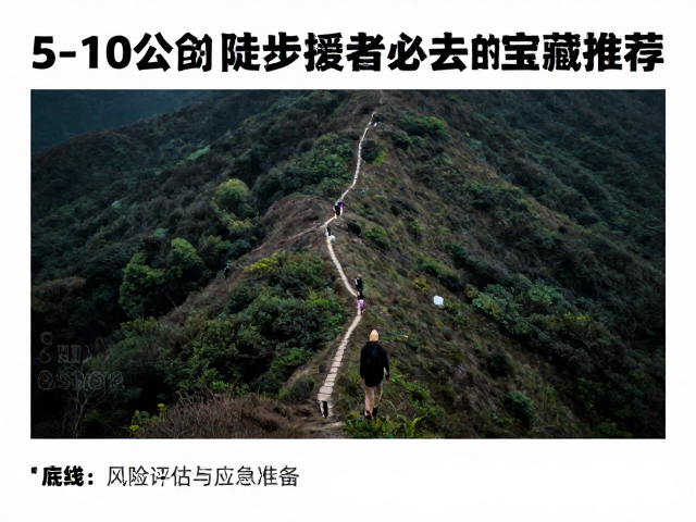 安全底线:风险评估与应急准备