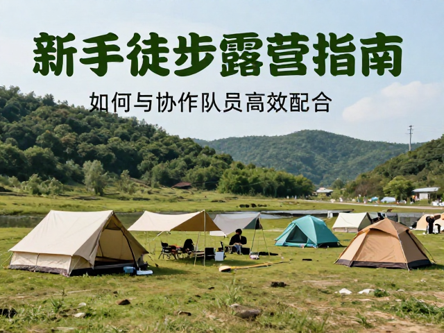 营地搭建:空间利用与环境保护规范
