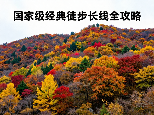 安全准则与应急处理