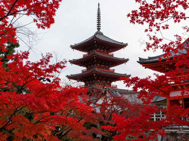 高高寺与清凉寺的红枫秘境探索