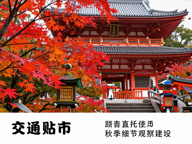 交通贴士与季节观测建议
