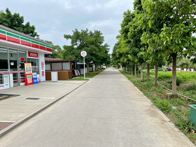 沿途便利店与补给点的分布逻辑