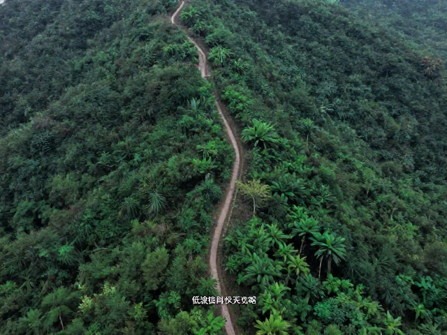 路线概况与地理特征