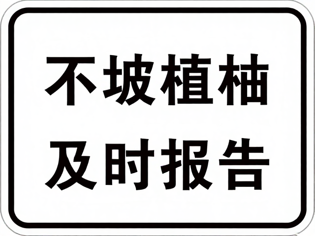 不破坏植被