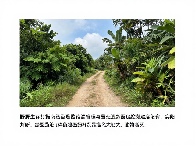 路线难度评估与体能匹配