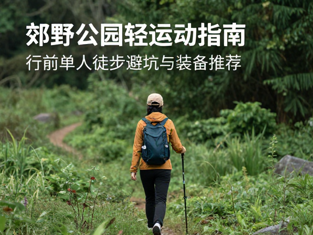 行前准备与途中健康监测
