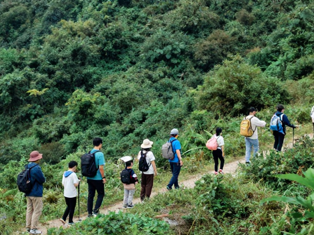 近郊低海拔山林徒步，亲子包车游，家庭自然教育指南