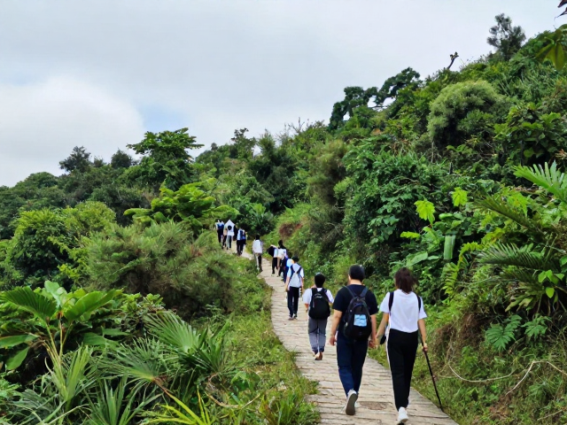 广州火炉山森林公园:城市绿肺的亲近体验