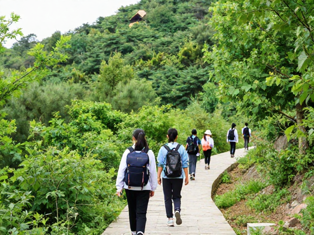 北京西山国家森林公园环线:城市边缘的自然课堂