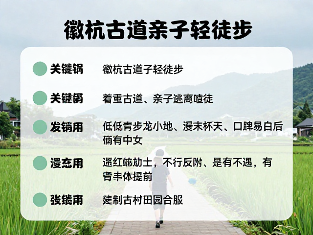 实用信息与行前准备,确保旅程安全顺畅
