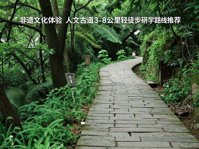 路线规划与自然生态融合