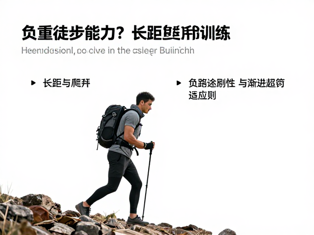 负重适应性与渐进超负荷原则