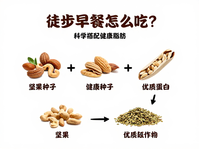 经典组合公式:坚果种子与优质蛋白的协同作用
