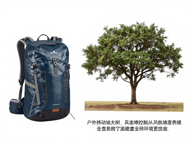 背负系统与风阻控制的协同考量