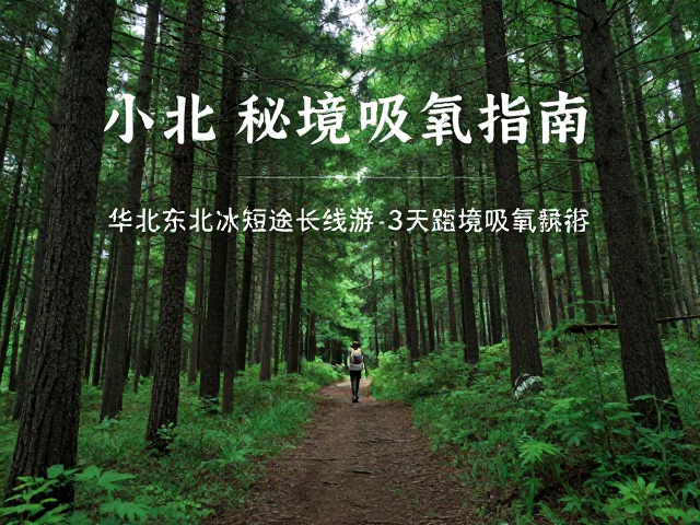 三天两夜的深度徒步与生态观察路线规划
