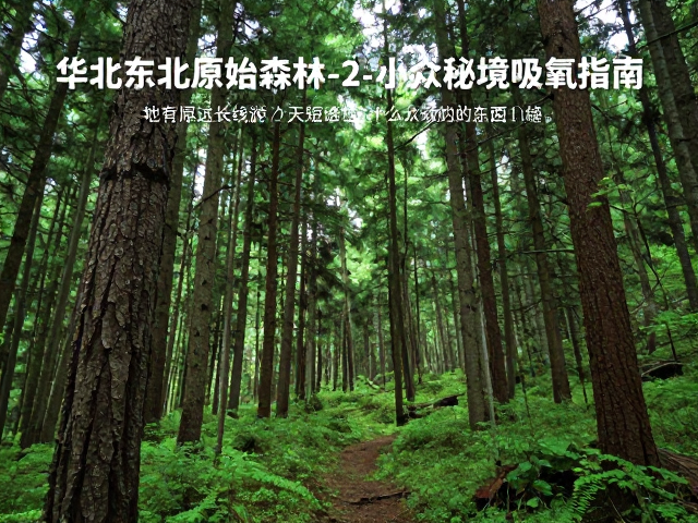 生态保护与无痕山林原则