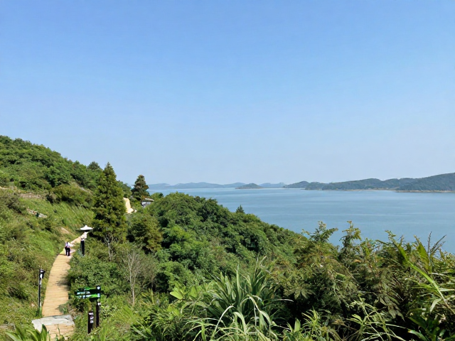 交通指引与周边设施