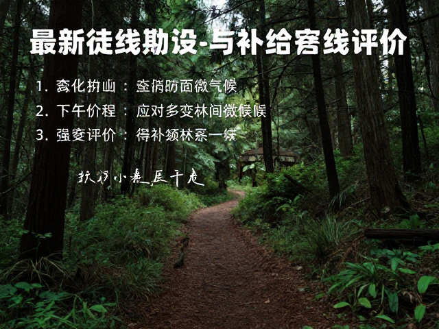 装备建议:应对多变林间微气候