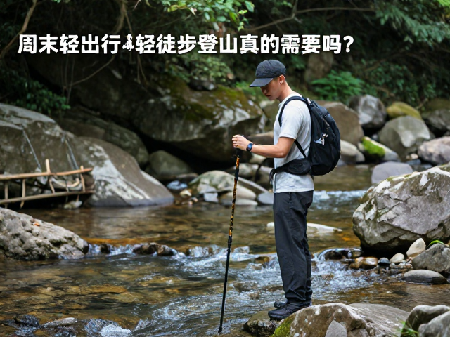 安全边界与风险管理的考量