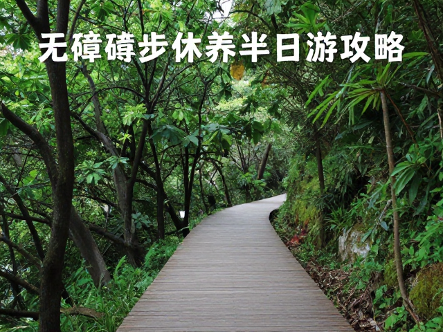 山林漫步的疗愈初衷与路线概览