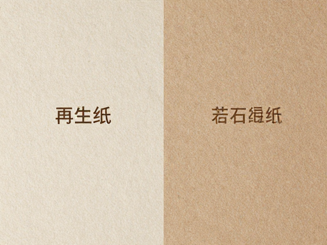 选购指南中的关键考量因素