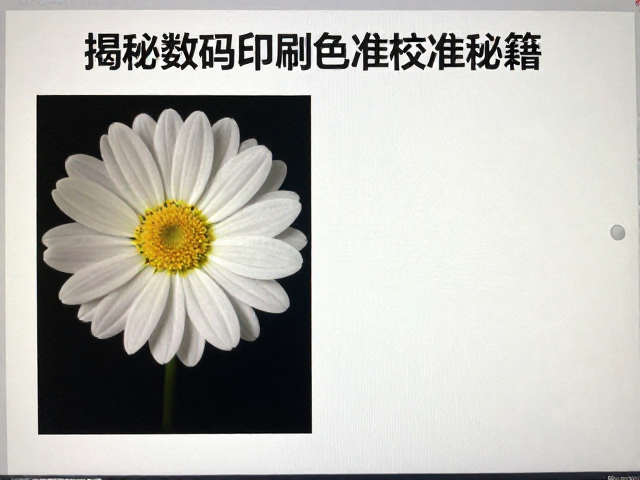 工作流中的色彩一致性维护