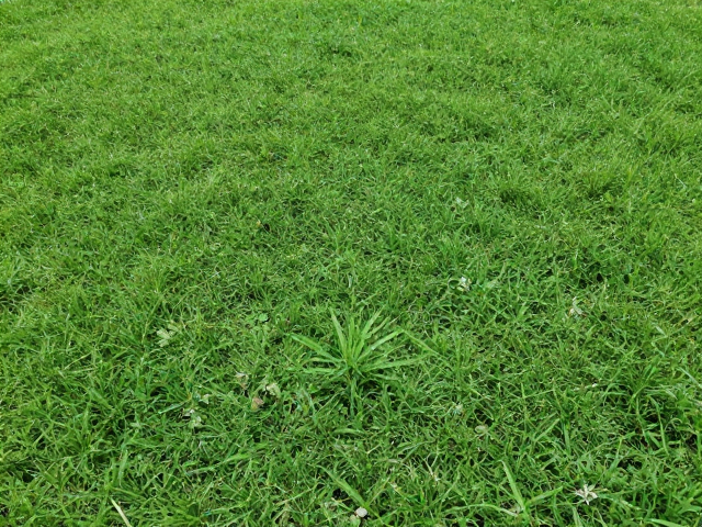 可持续材料与生态美学的实践