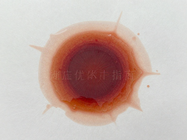 哑膜覆膜出血的成因与物理机制