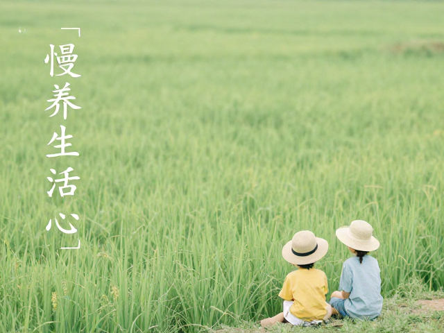 慢养生活，在自然中重拾文艺初心