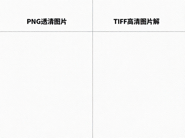 文件格式的选择策略与兼容性考量